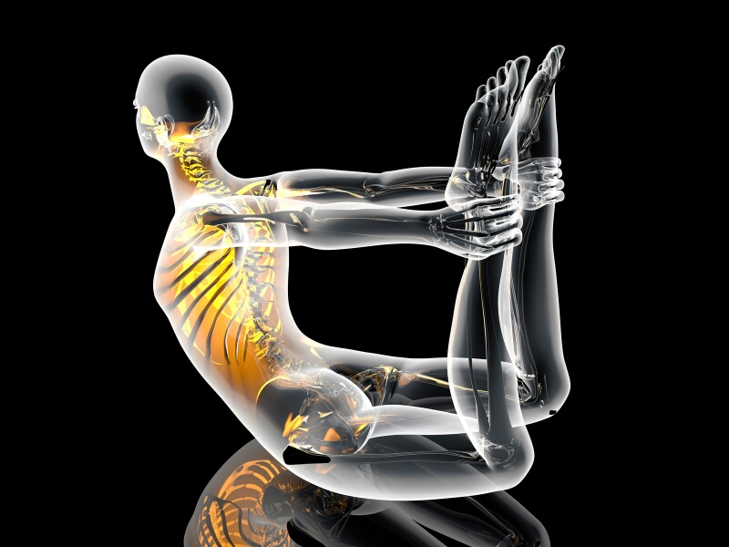 Anatomía Funcional Aplicada al Yoga 